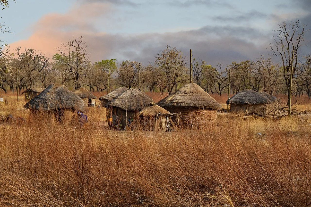 African Grass Huts